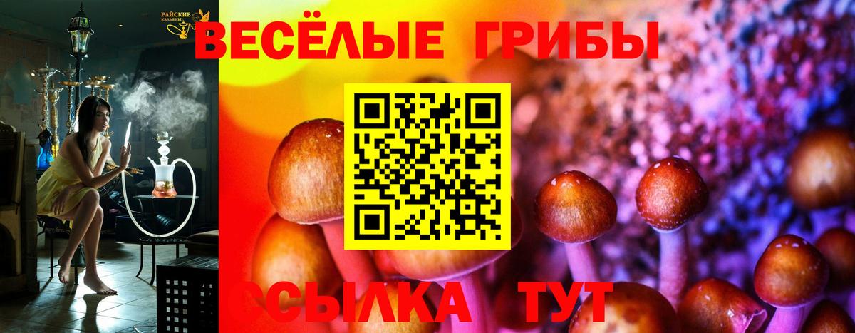 Галлюциногенные грибы прущие грибы Топки