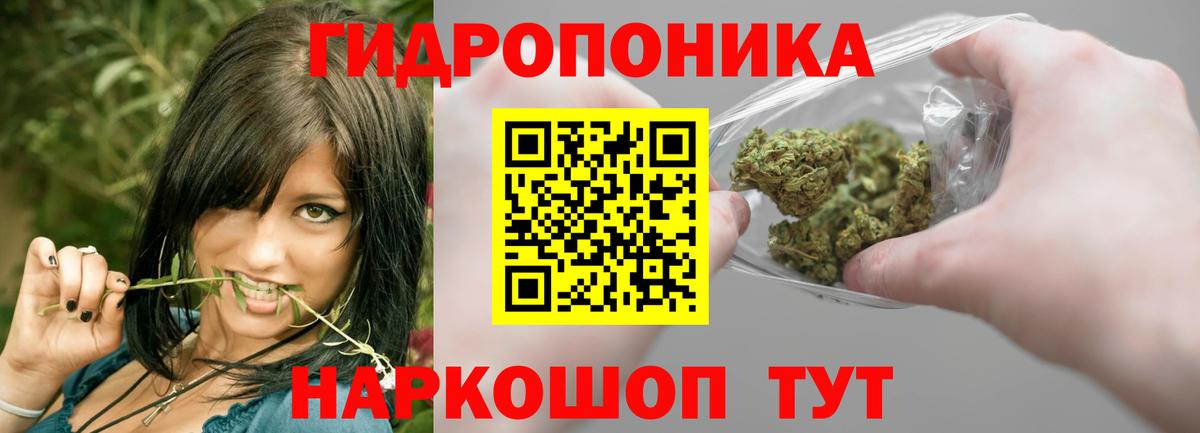 Бошки марихуана White Widow Топки